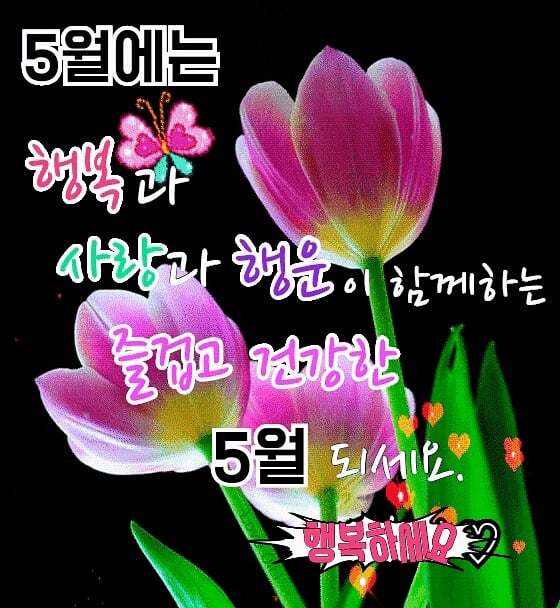 행복한 5월되세요 - ┃…………자유게시판┃ - ♡학사모♡ 행복한 5월되세요