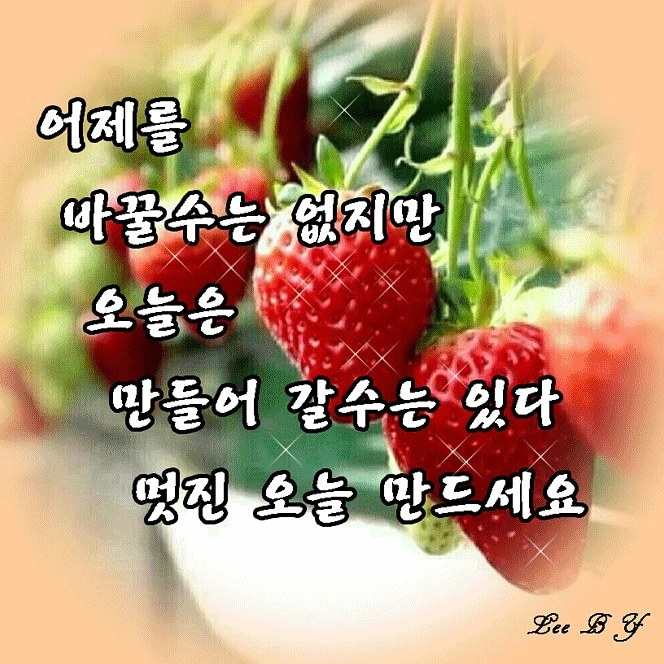 건강한 하루 되세요 - ┃…………자유게시판┃ - ♡학사모♡ 건강한 하루 되세요