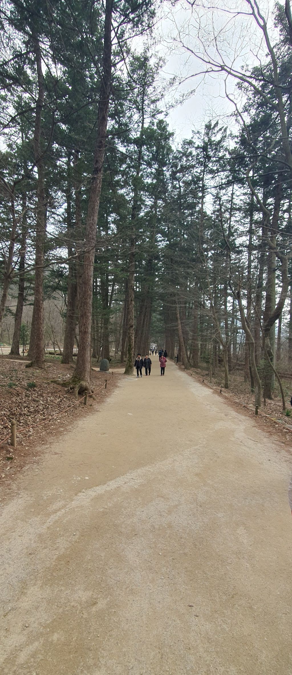 각방 이미지