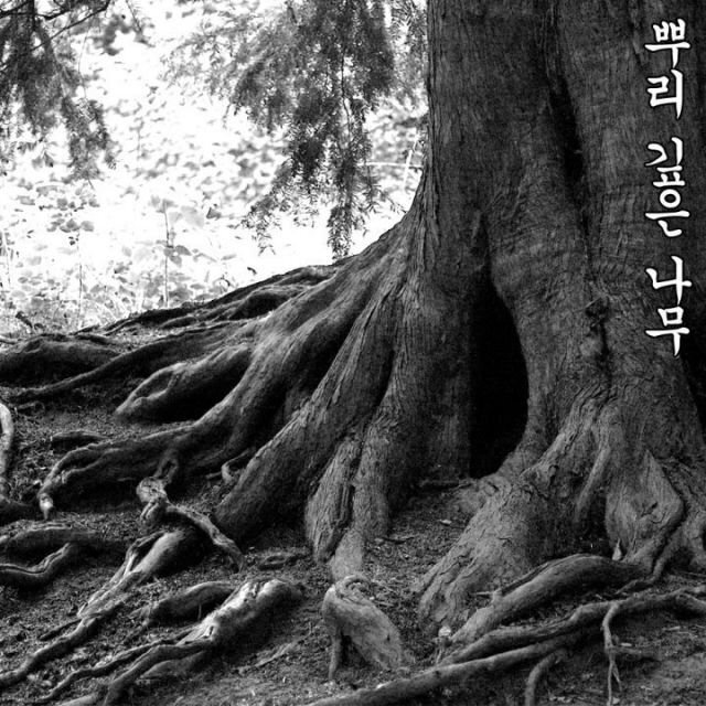 뿌리깊은나무 이미지