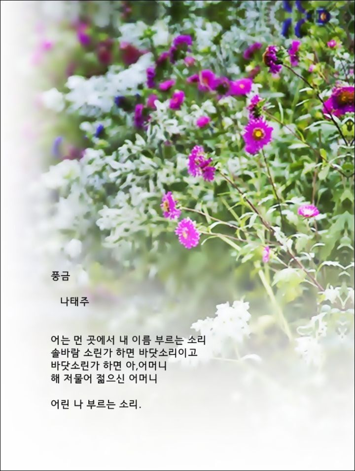 풍금 이미지