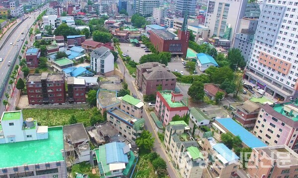 오리골 이미지