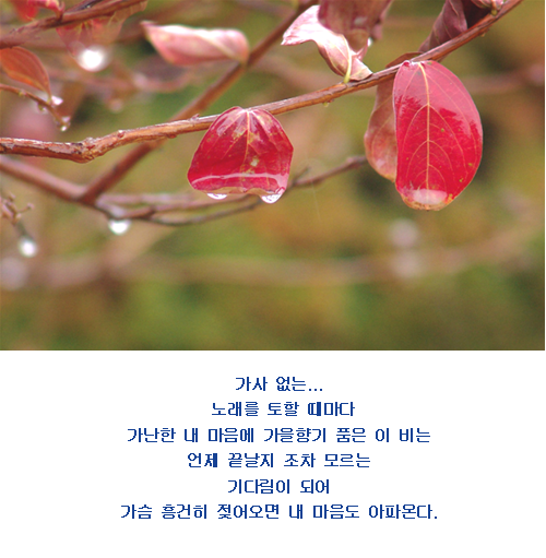 마음에향기 이미지