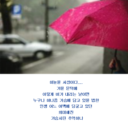 마음에향기 이미지