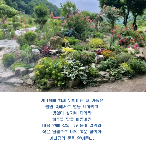 꽃잎담아 이미지