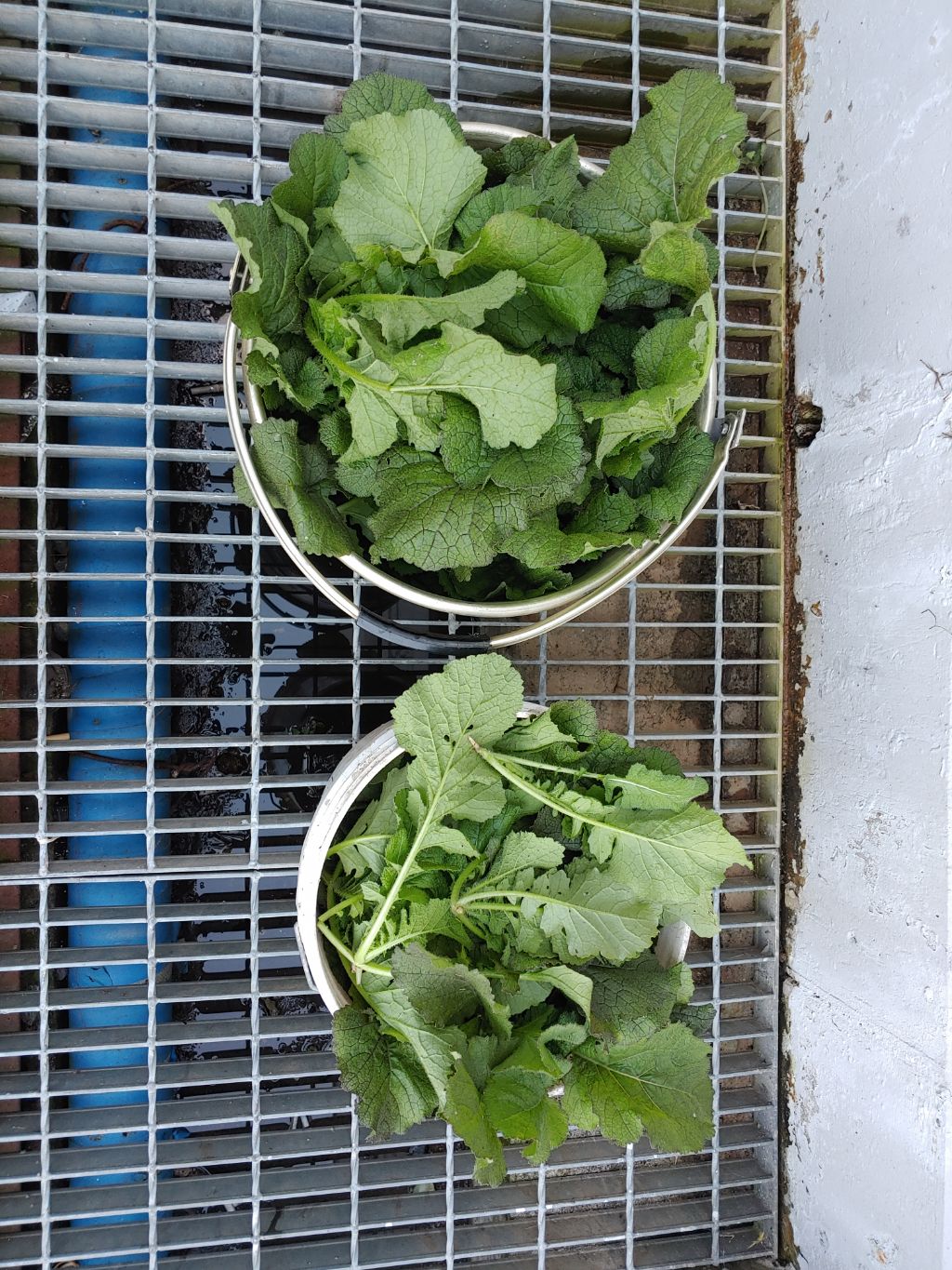 청방 이미지