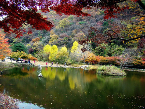 친정나들이 이미지