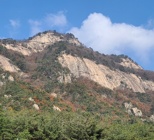 고운얼굴 이미지