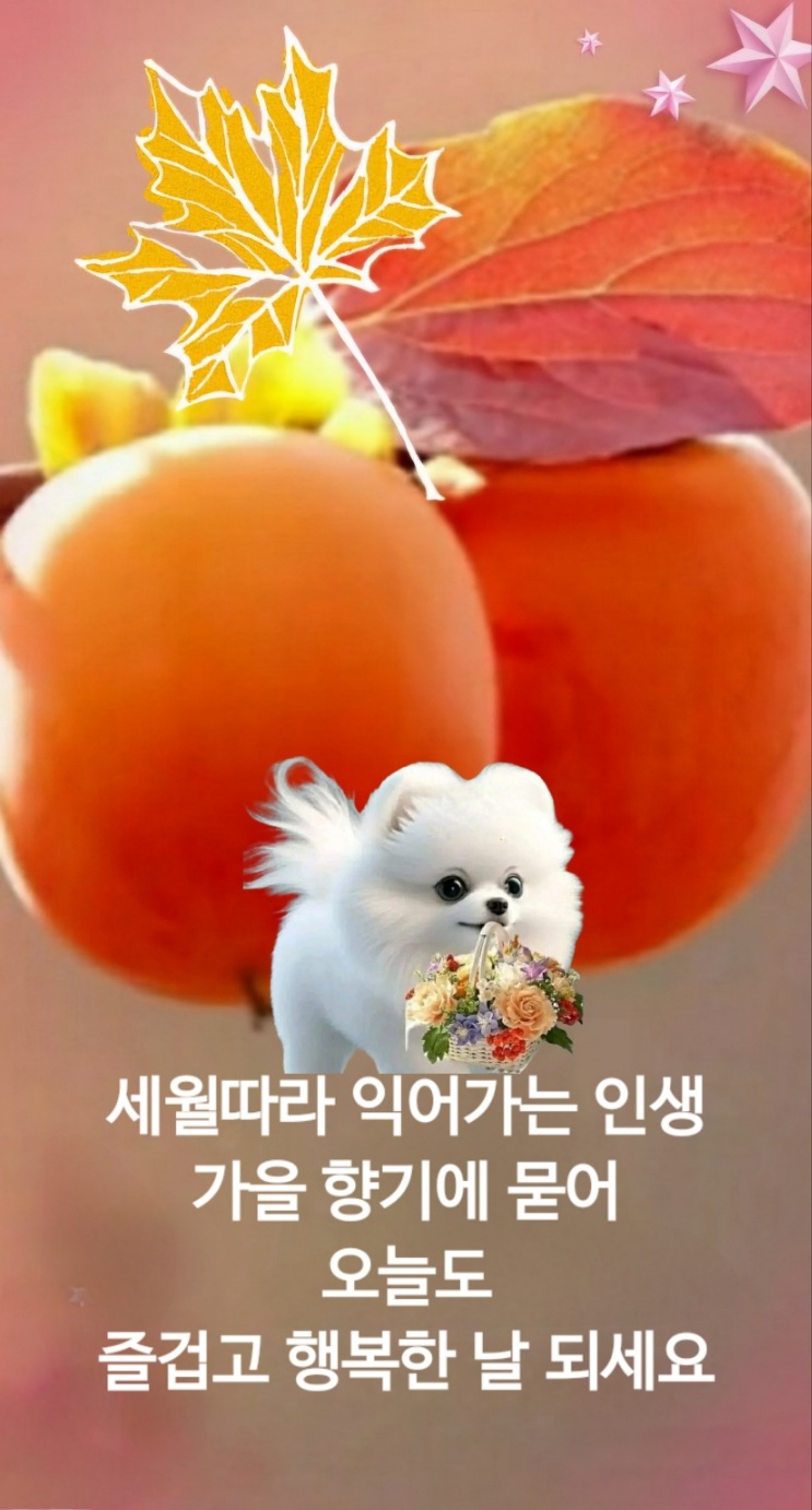 소망 이미지