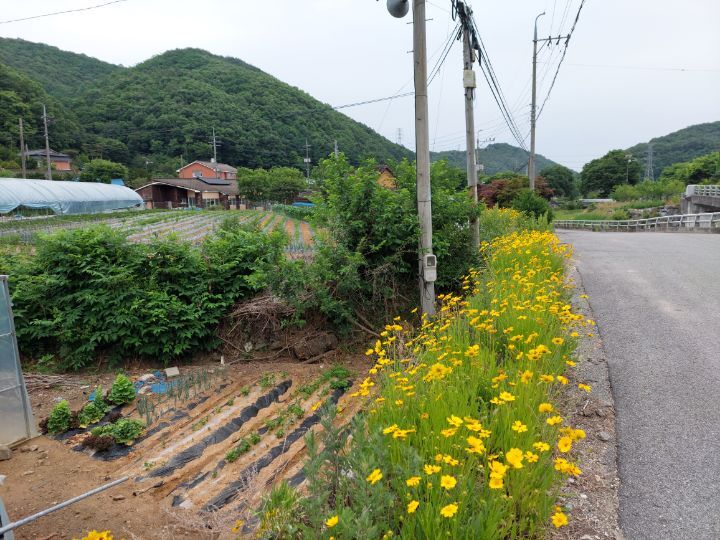 성흠 이미지