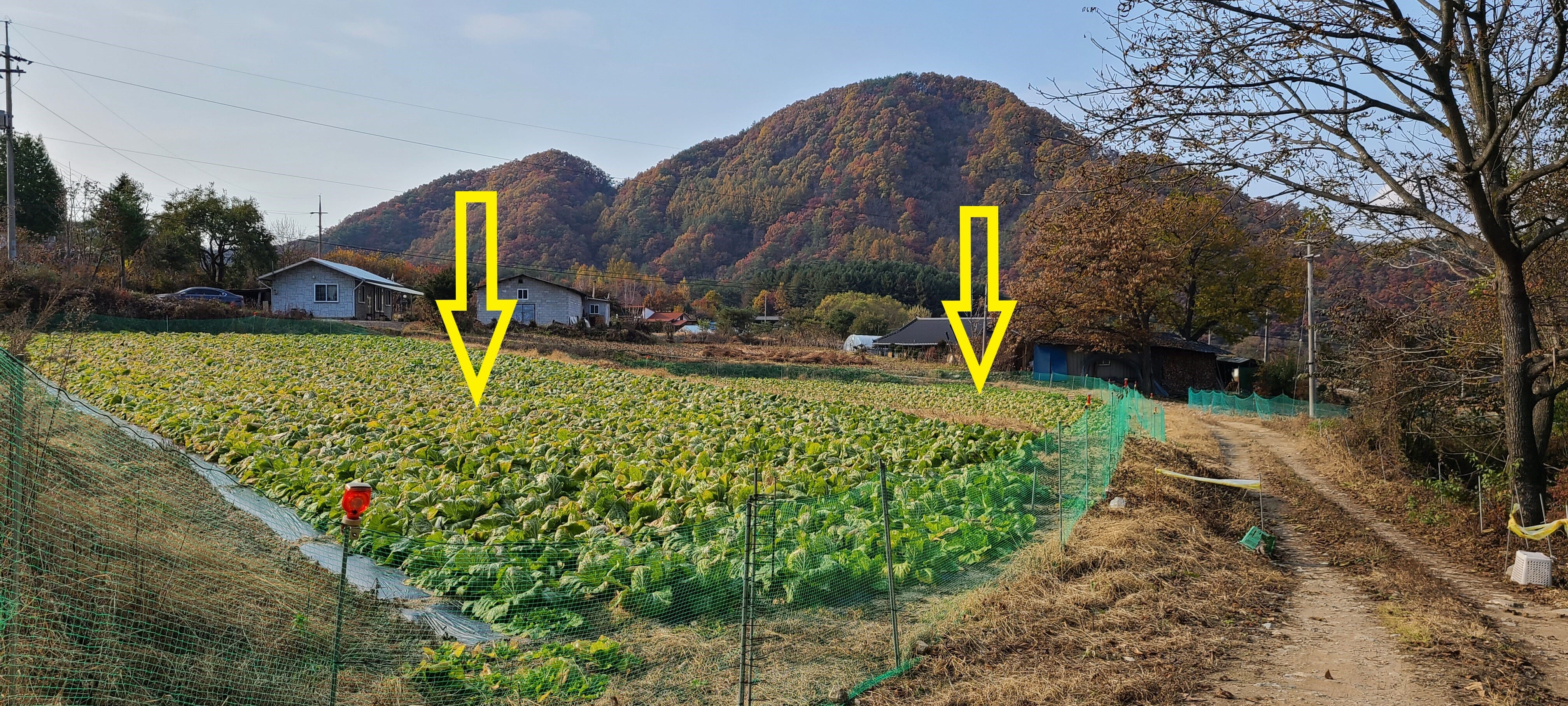 내촌농협하나로마트 이미지