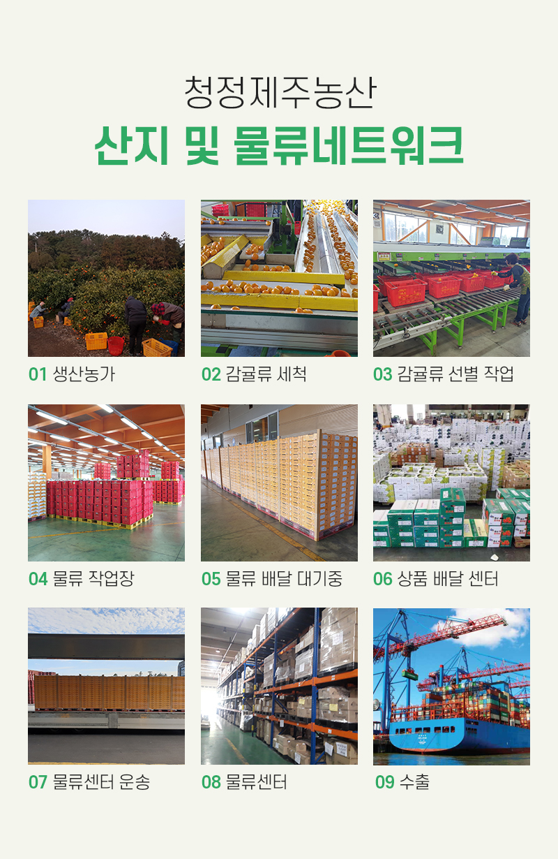 청정제주농산 이미지