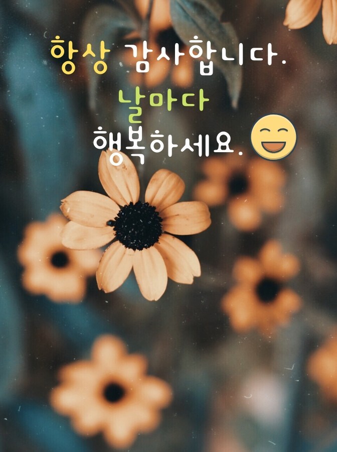 쁘띠쁘띠 이미지