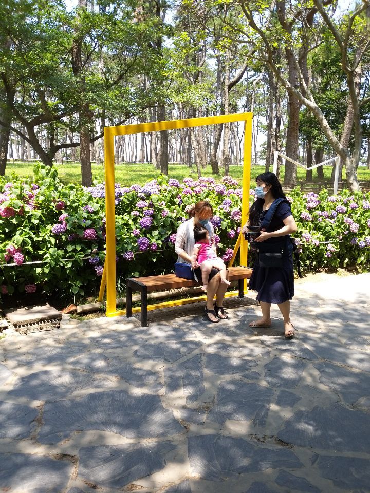 서우투어 이미지