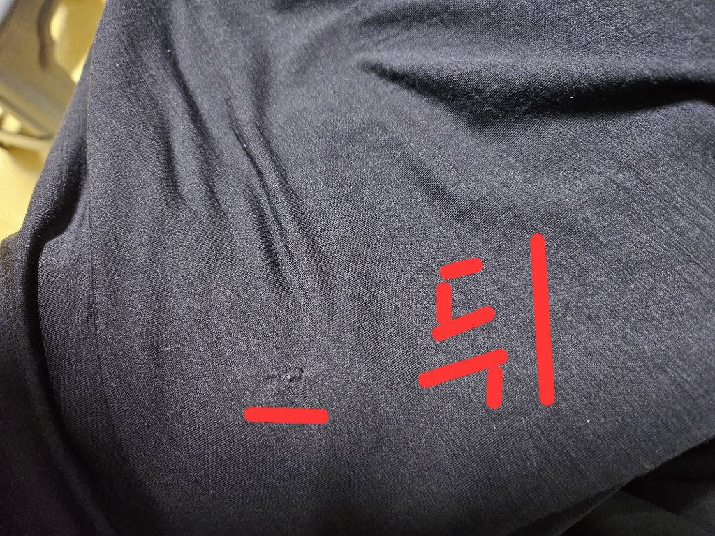터틀 이미지