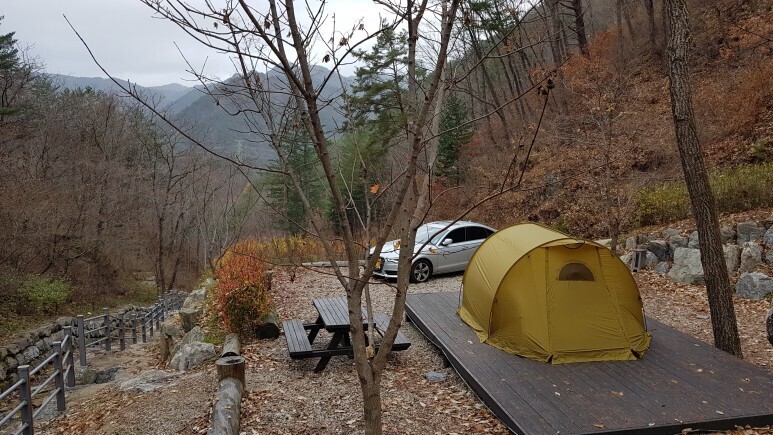 제네스 이미지