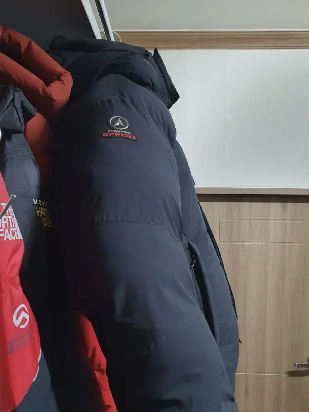 테라스포츠 이미지