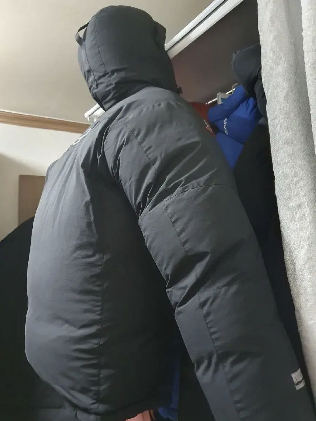테라스포츠 이미지