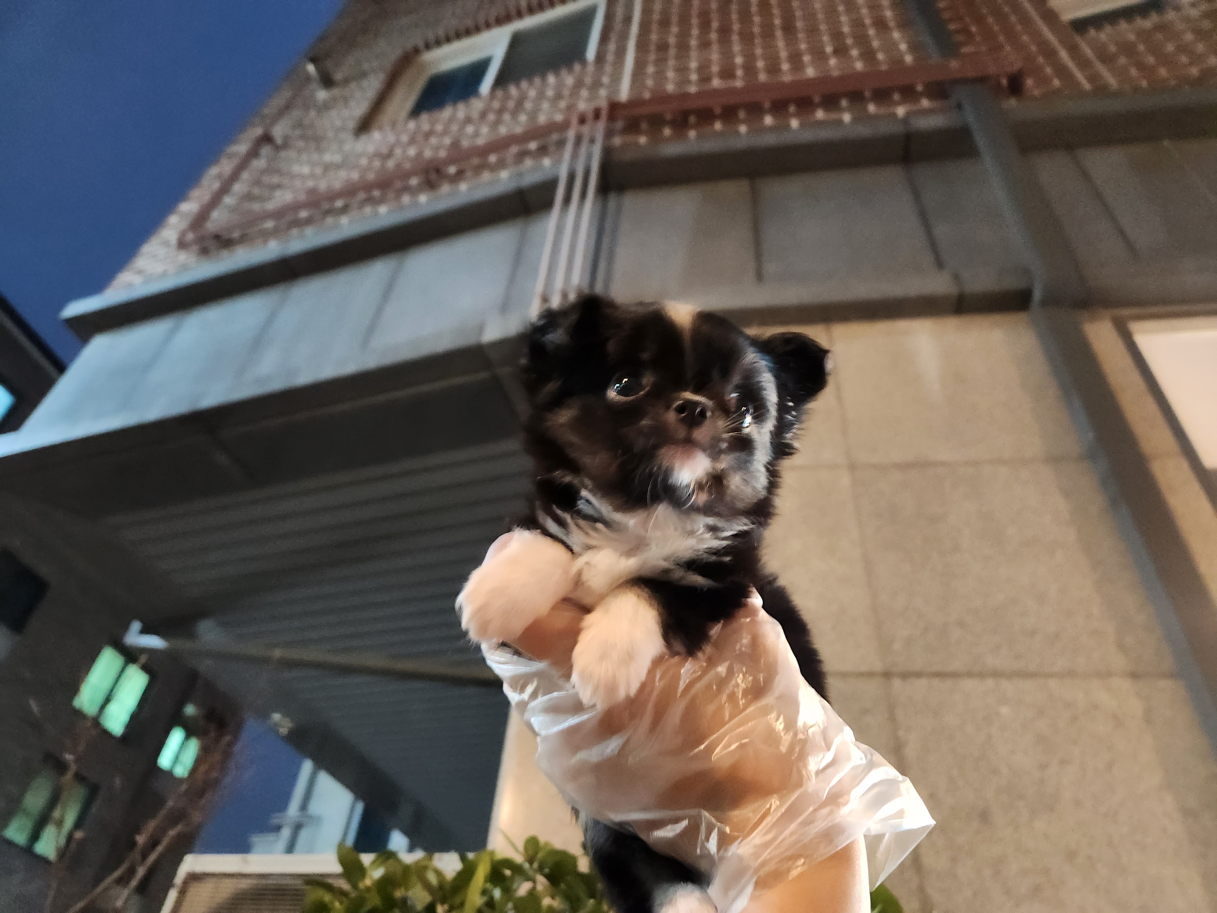 블랙파티 이미지