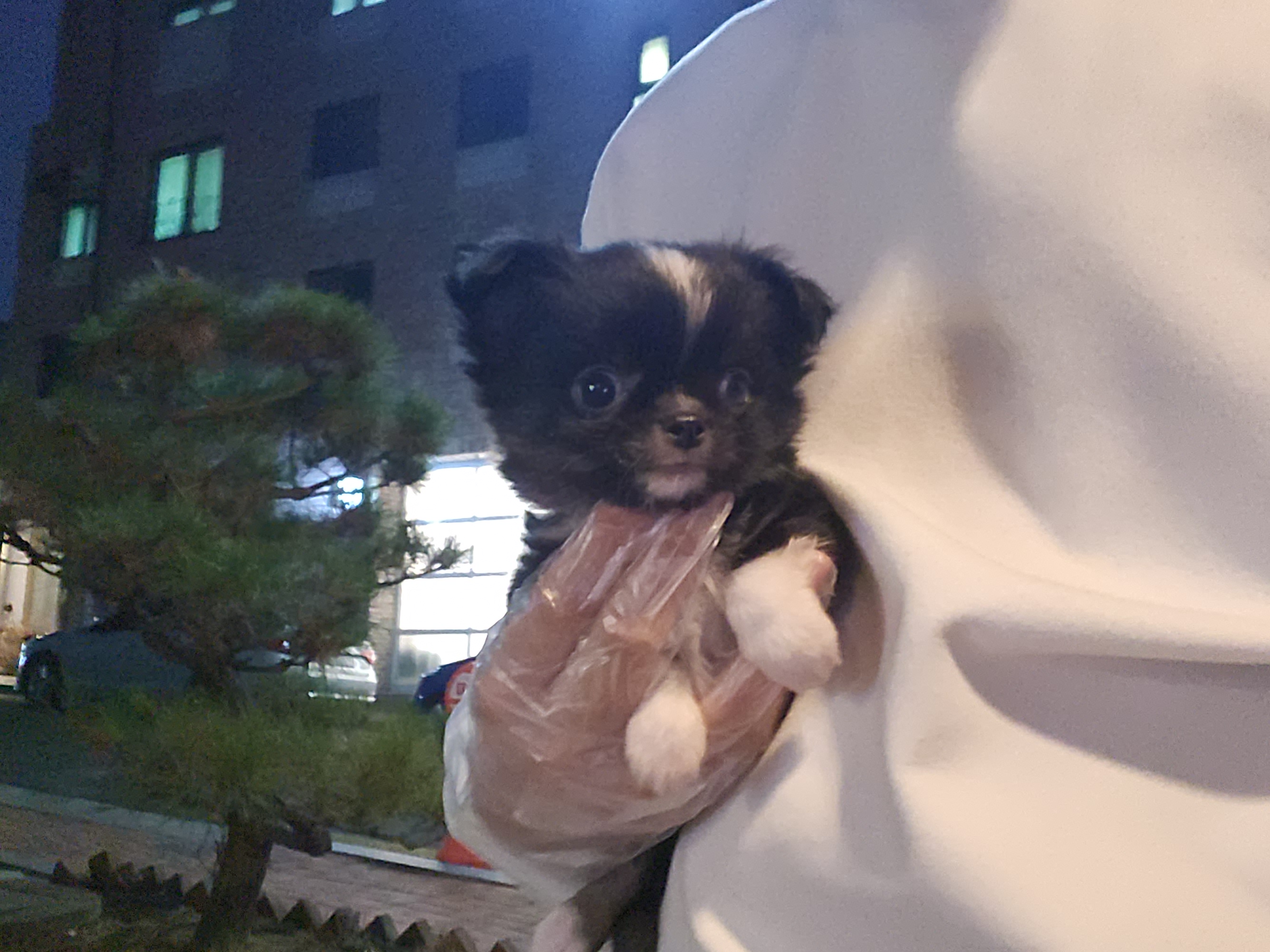 블랙파티 이미지