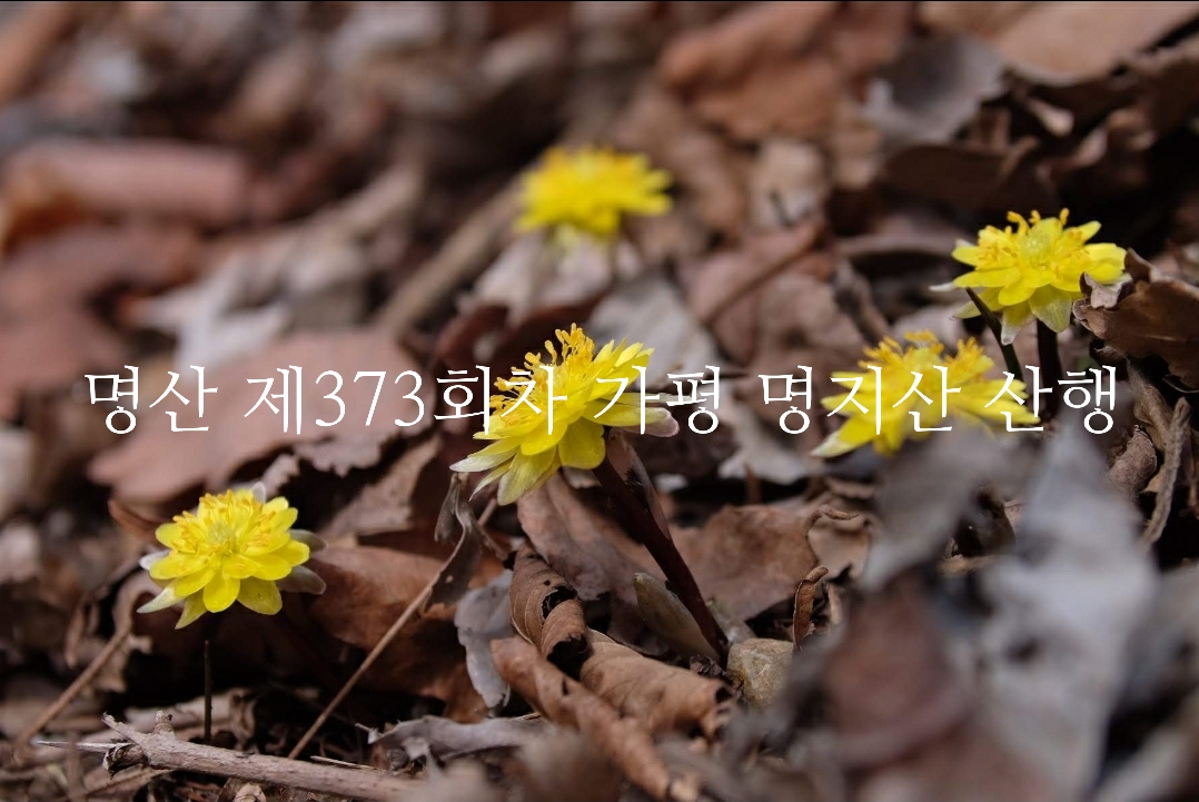 명지산 주유소 이미지