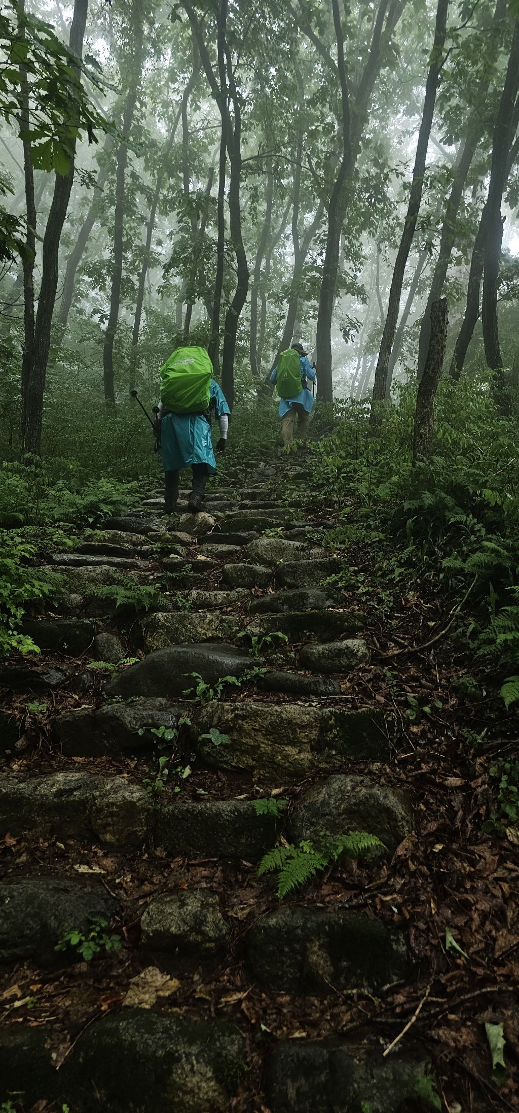 선달산캠핑장 이미지