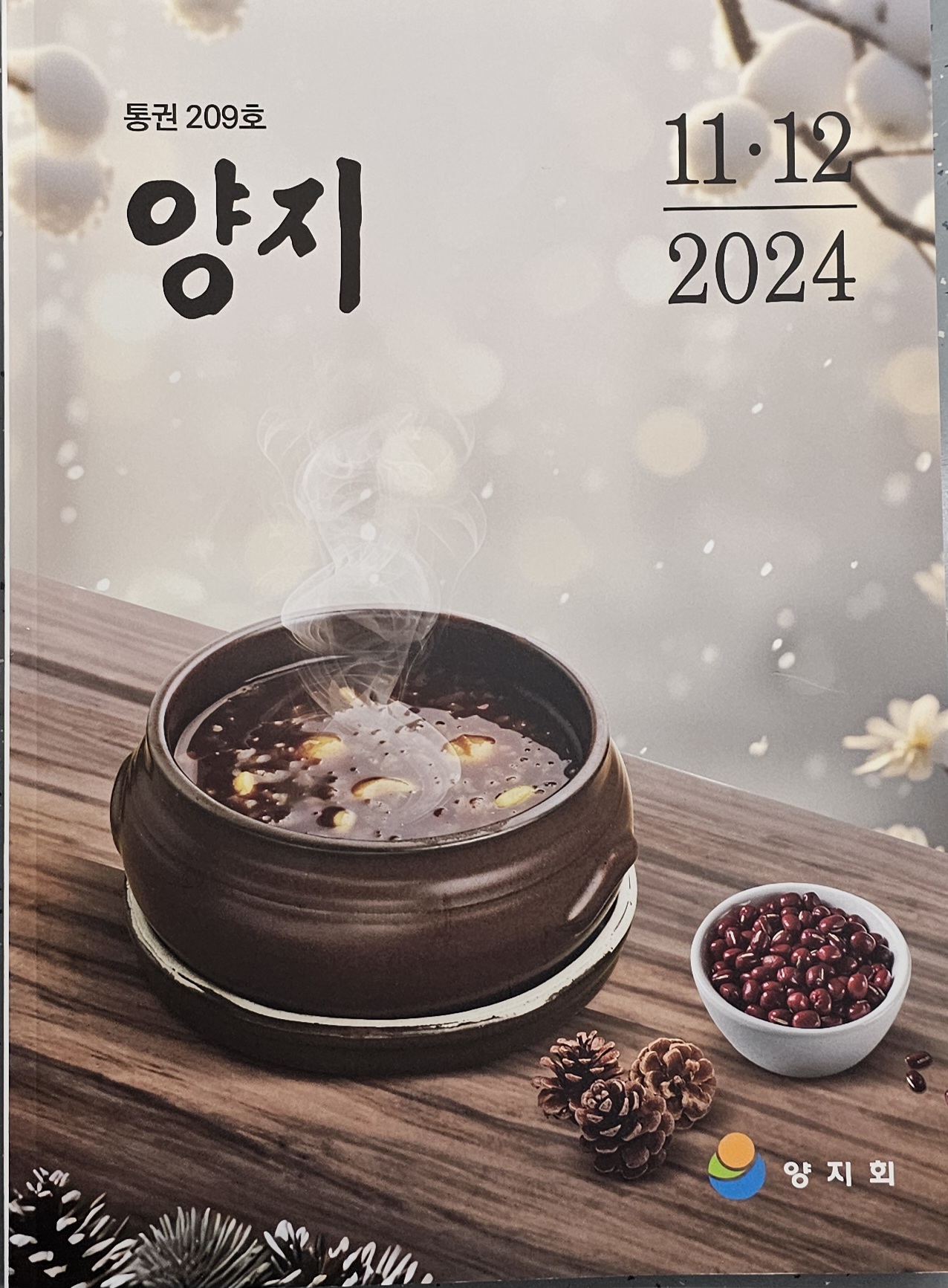 양지 이미지