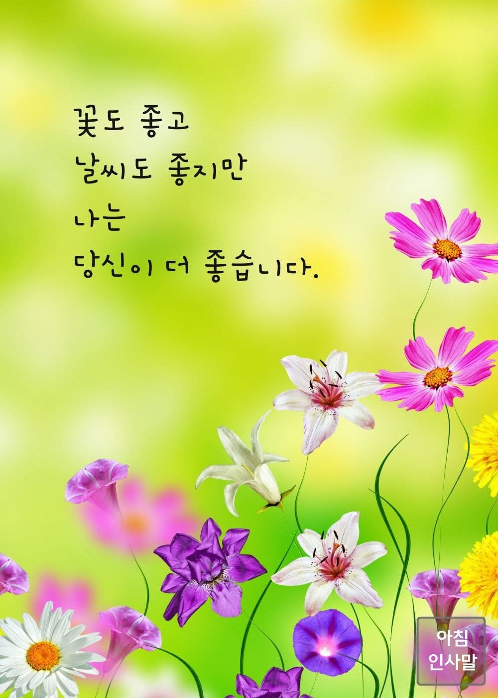겨울과봄사이 이미지