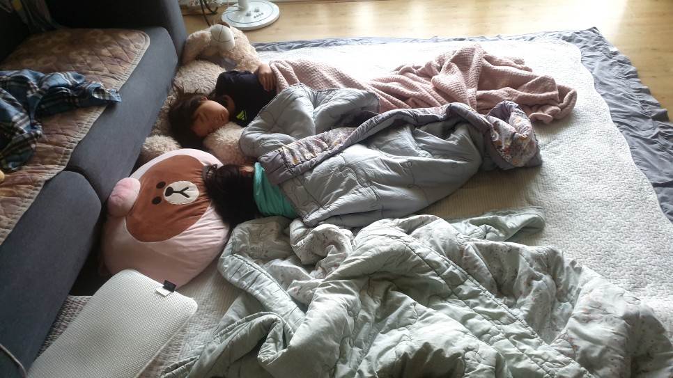 (주)태리 이미지