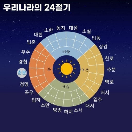 Daum 카페