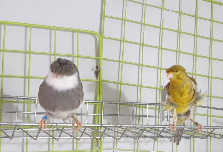 글로스터 이미지