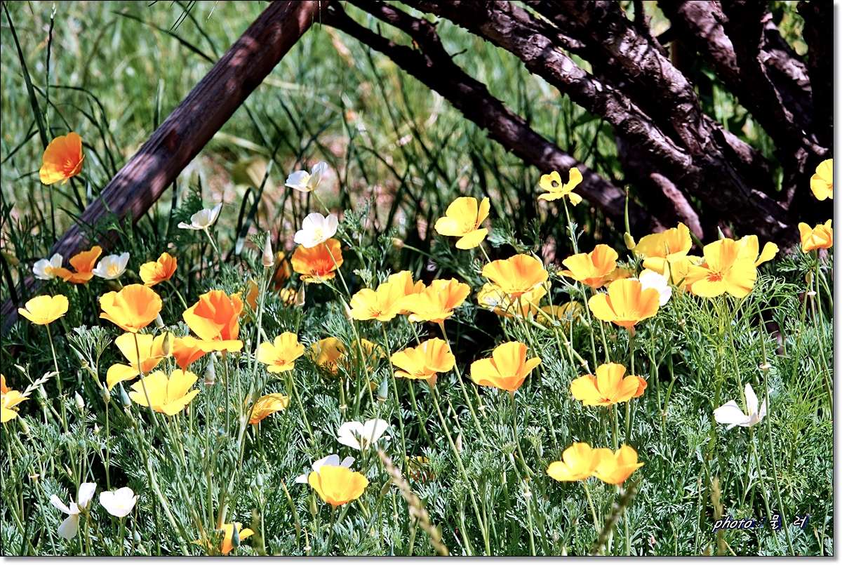 송현공원 이미지
