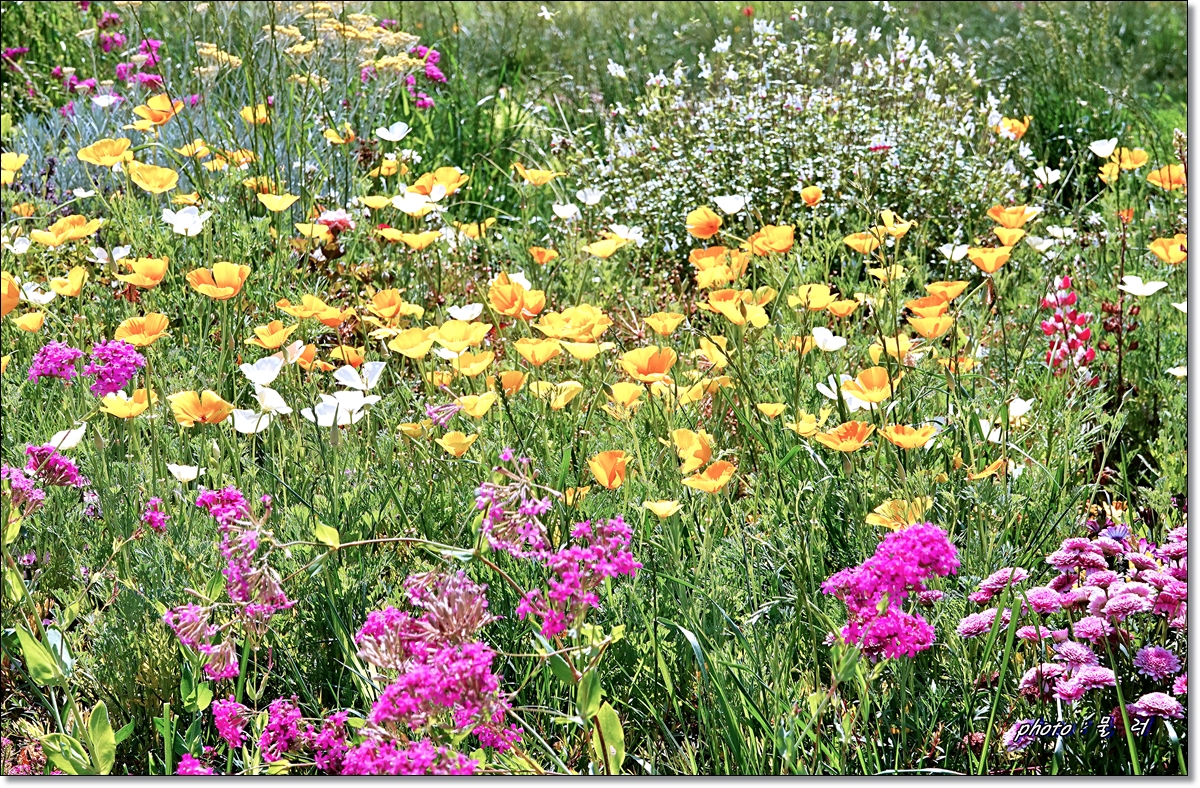 송현공원 이미지