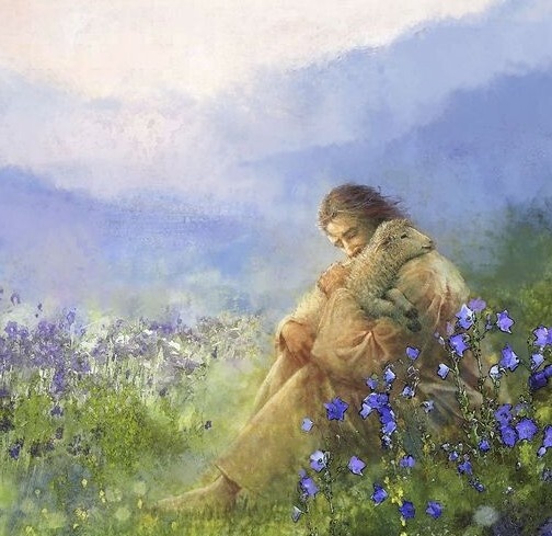 (주)작은사랑작은행복 이미지