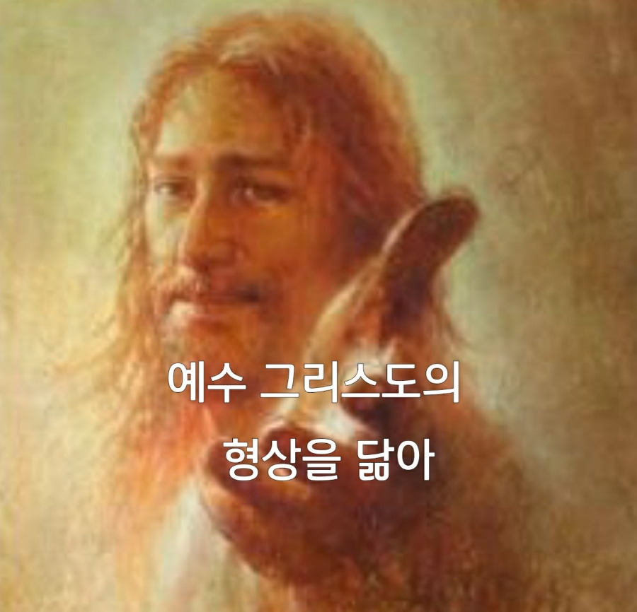 형상 이미지