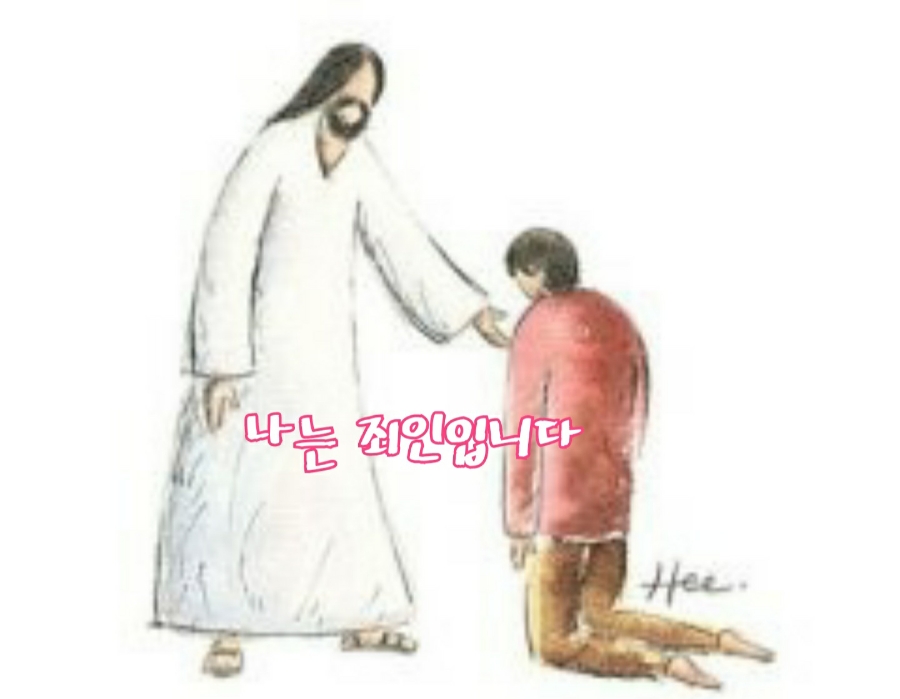 Daum 카페
