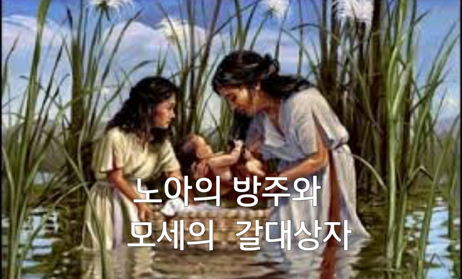 노아의 방주 이미지