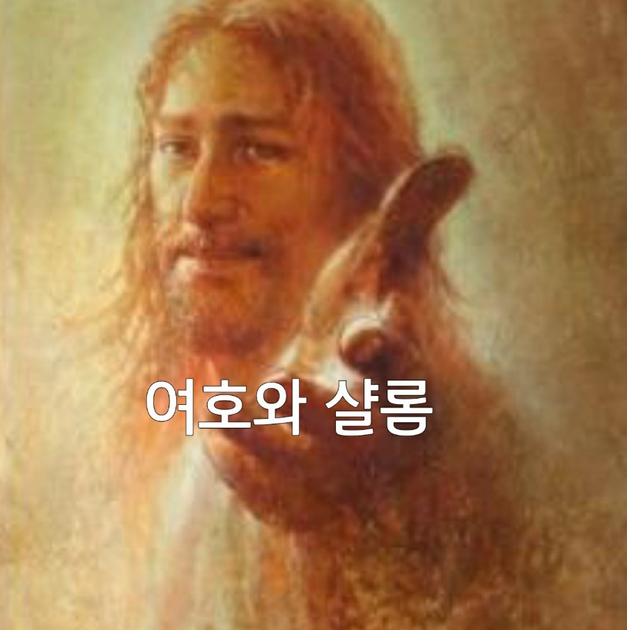 샬롬 이미지