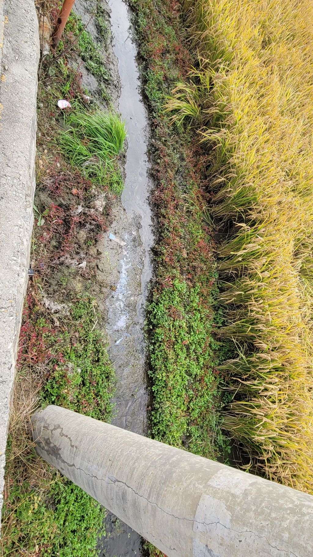 왕산1 이미지