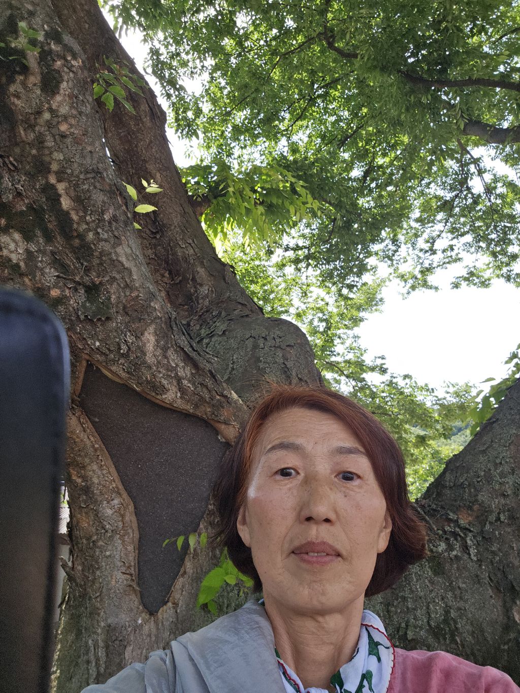 화심 이미지
