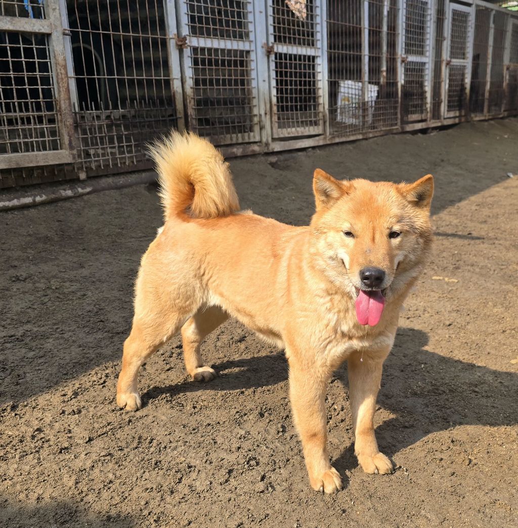 상미네 이미지