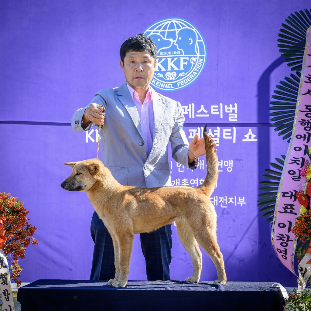 진미 이미지