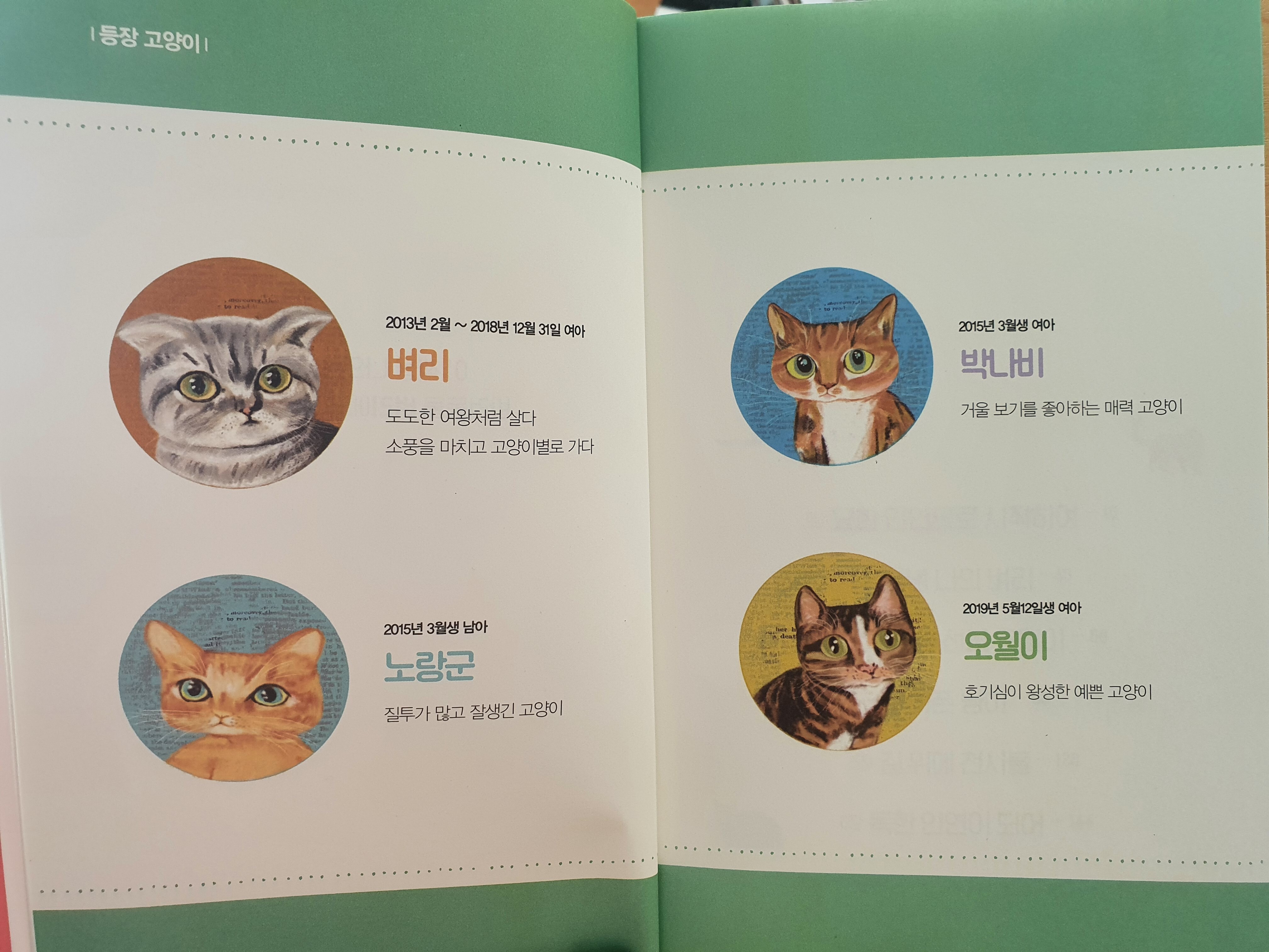 묘한인연 이미지