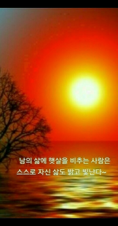 난꽃 이미지