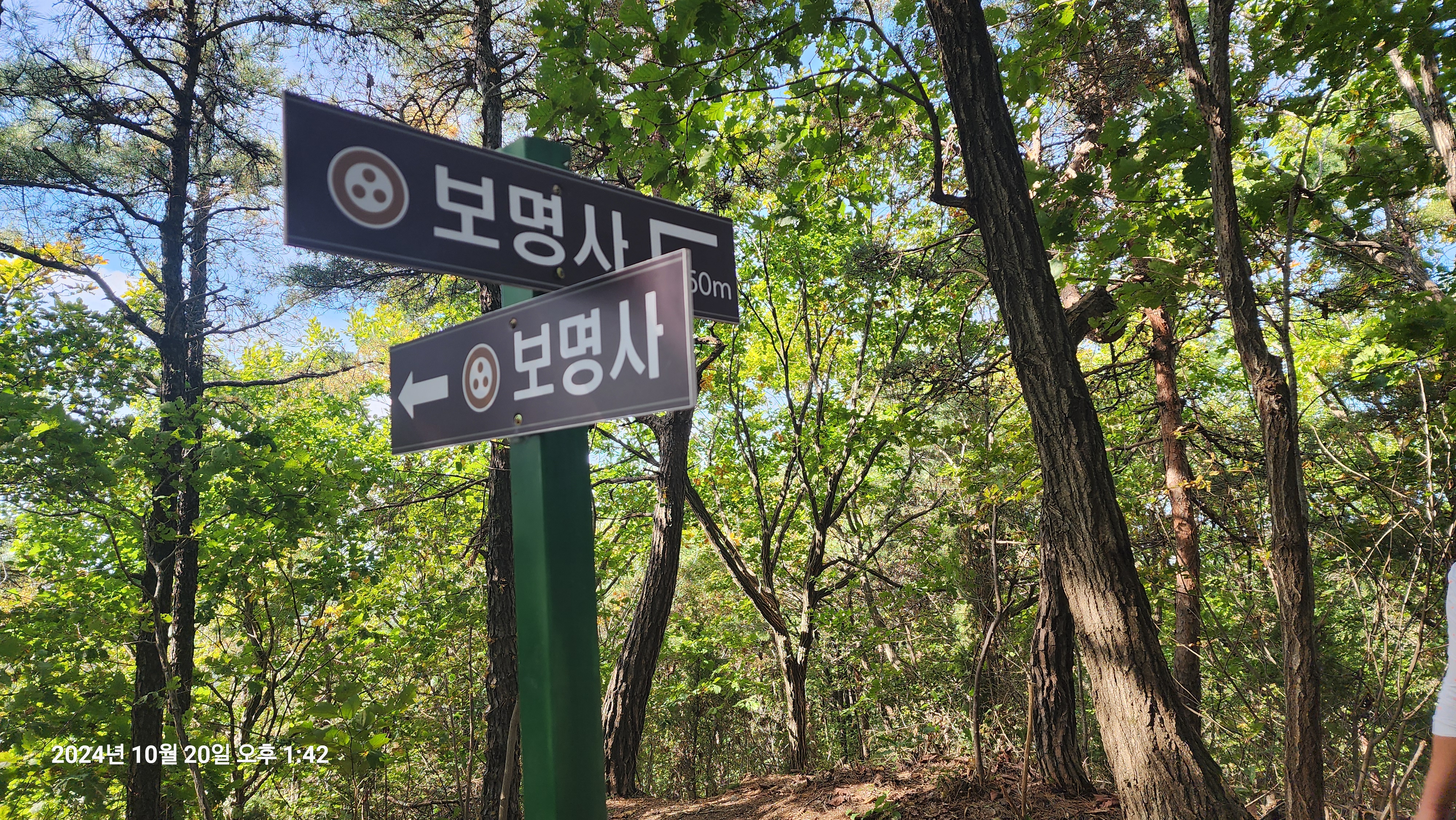 보명사 이미지