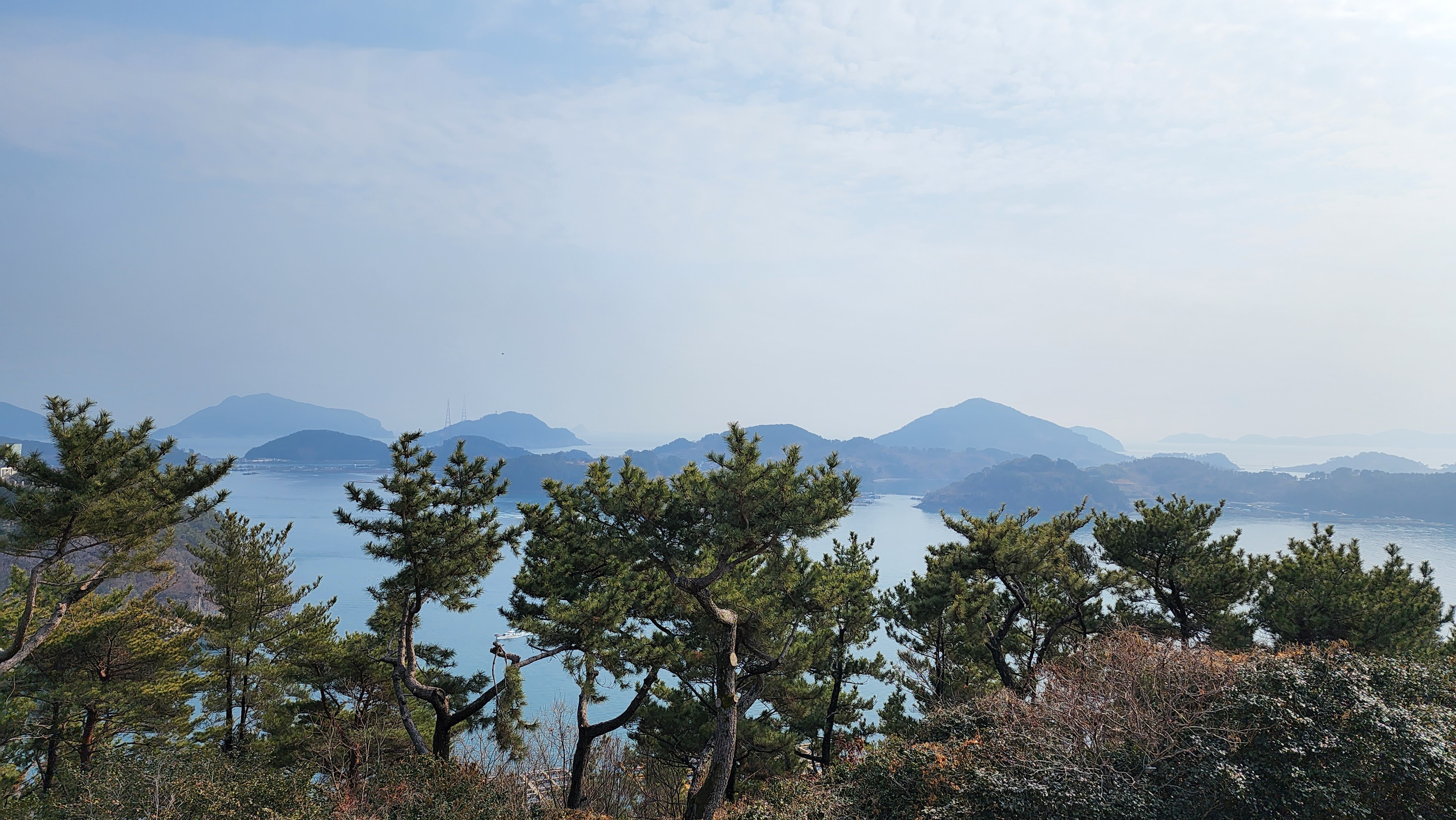 비진도수산 이미지
