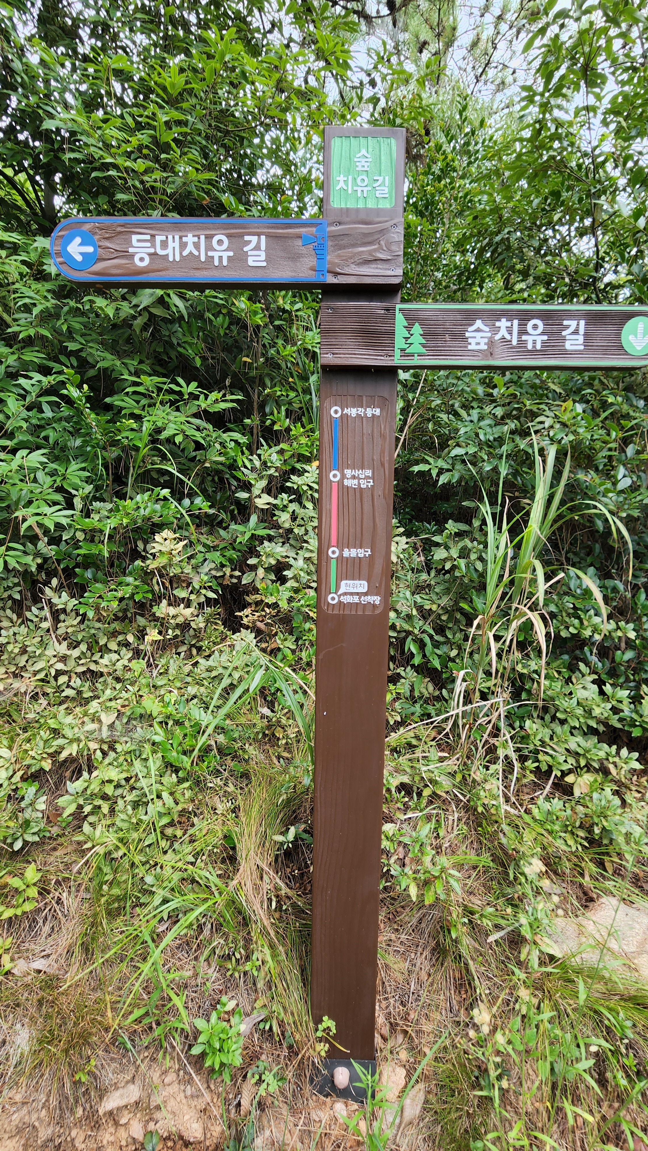 신지대교(신지도) 이미지