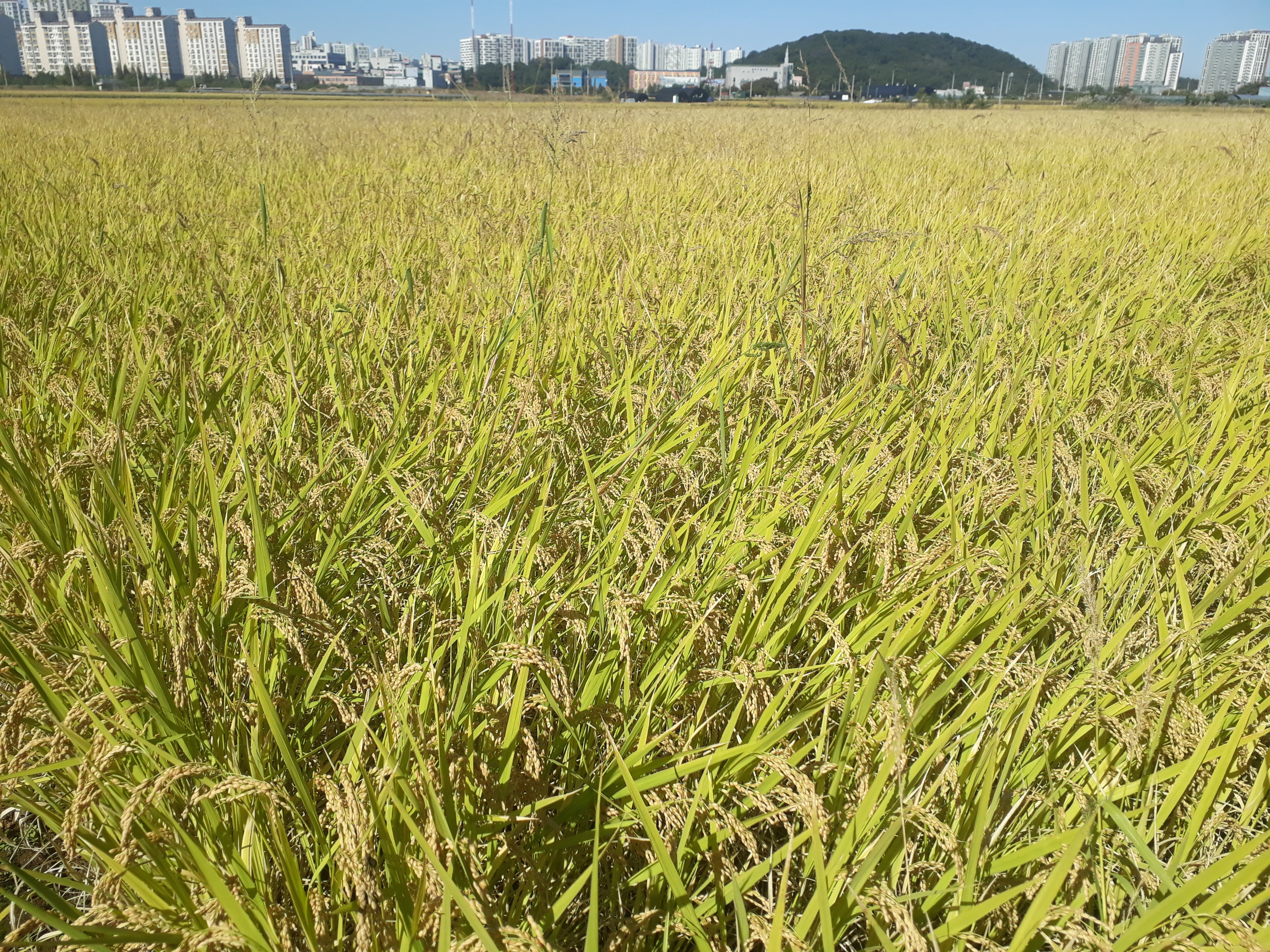 우정가요방 이미지