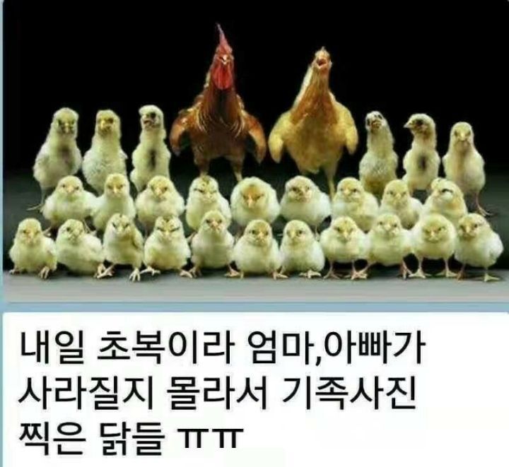만득이 이미지