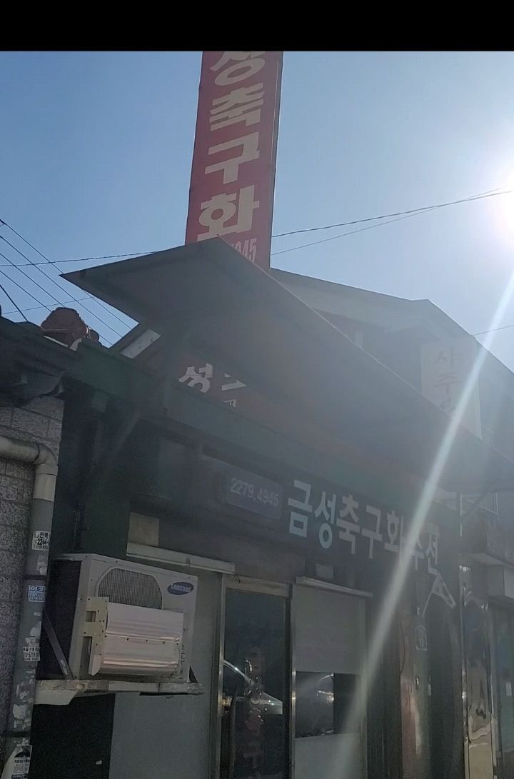 금성축구화 이미지